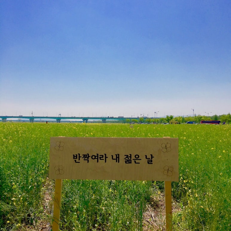 강서구청(신덕삼거리) 이미지