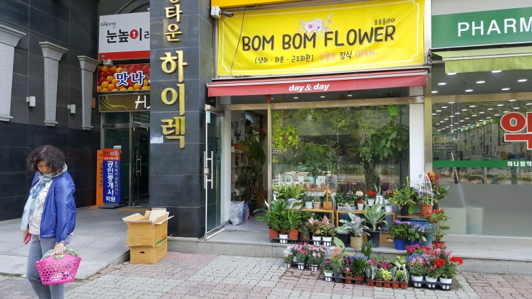 봄봄 이미지