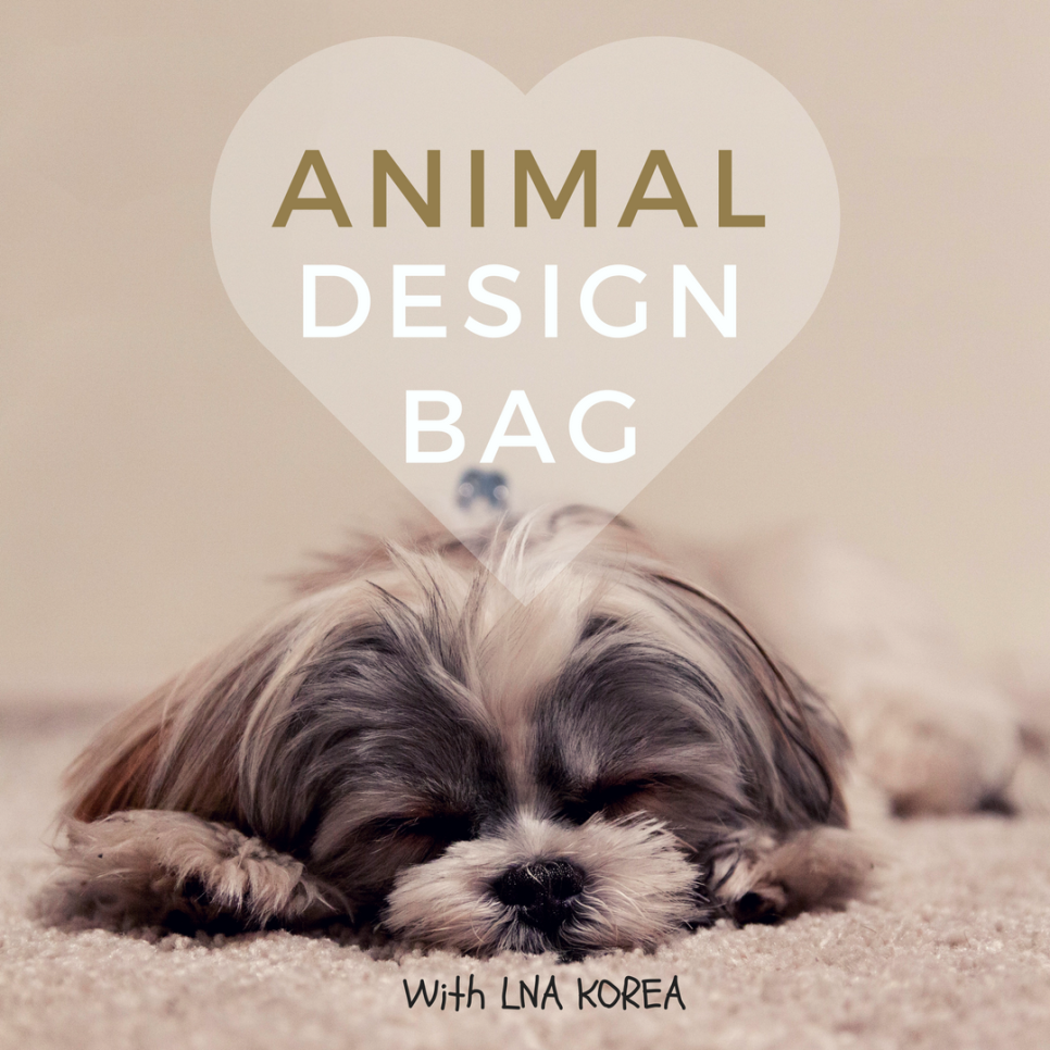 디자인에코 이미지