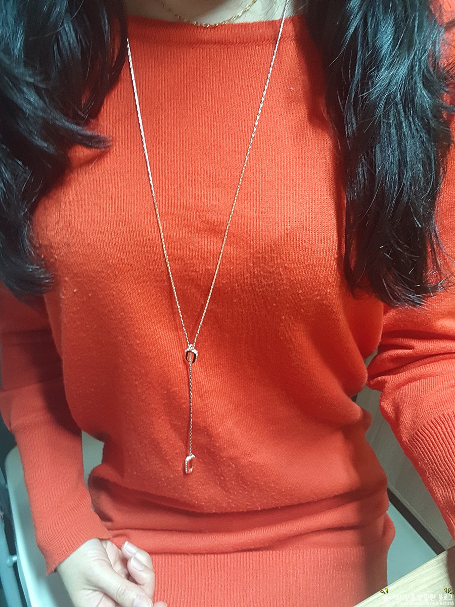 프롬수지 이미지