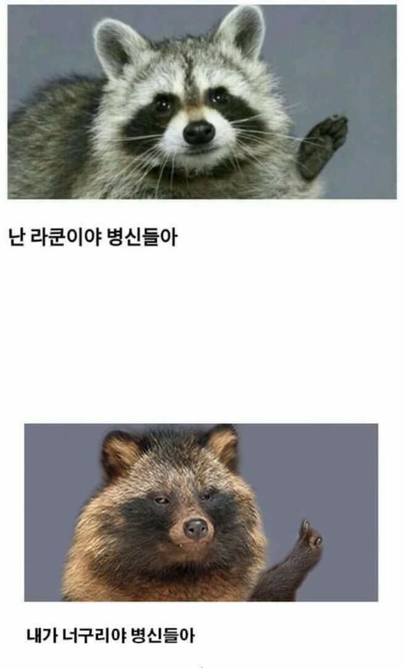 꾸꾸네 이미지