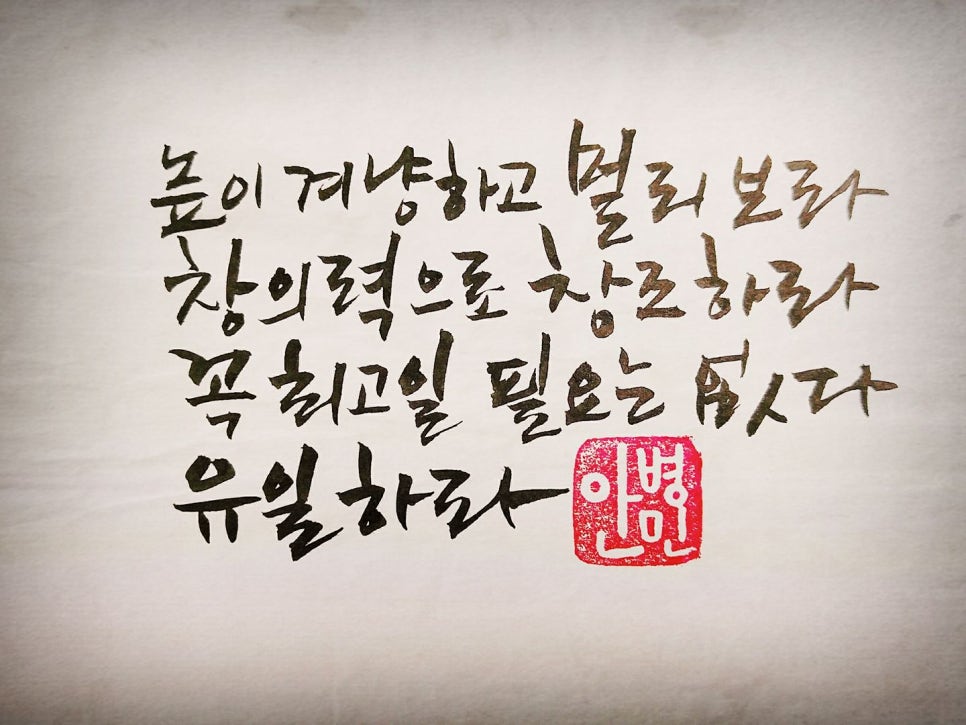 누벨에스테틱시스템 이미지