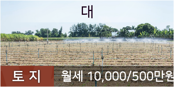 퇴계원세차장 이미지
