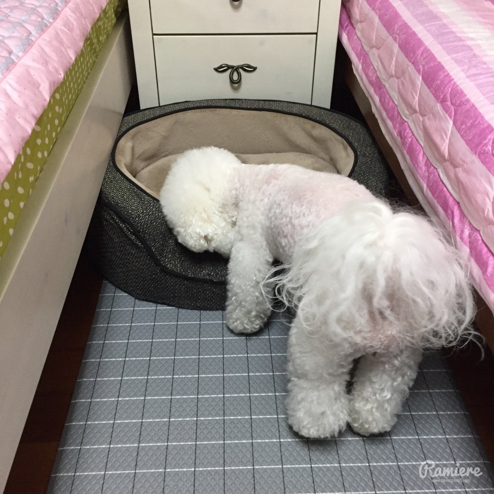 앙드 이미지