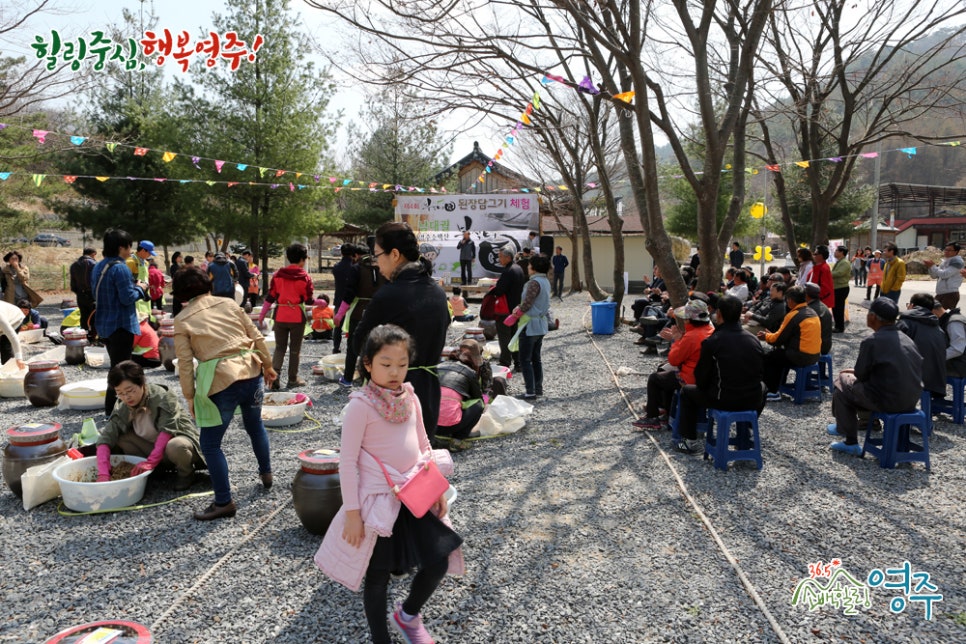 법인소백산마을 이미지
