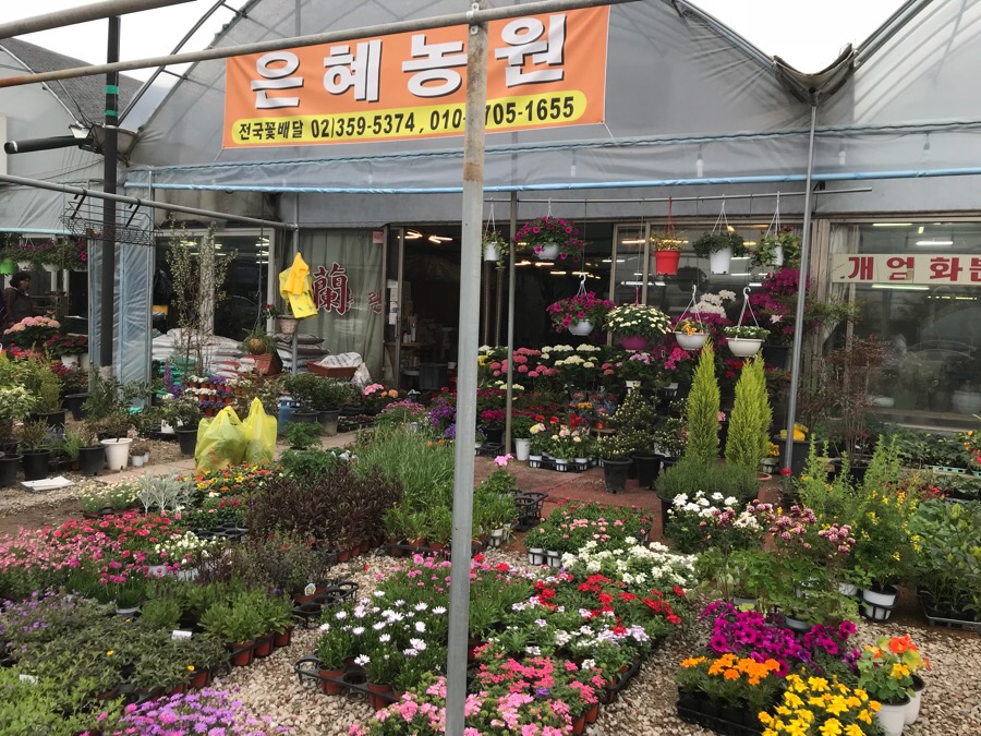 은혜꽃농원 이미지