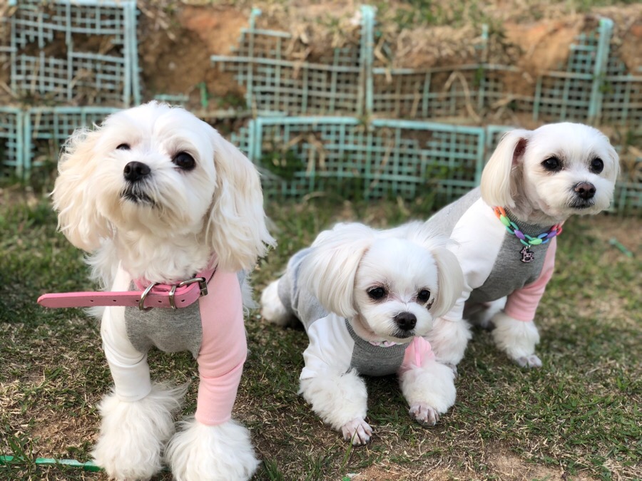 몽실상회 이미지