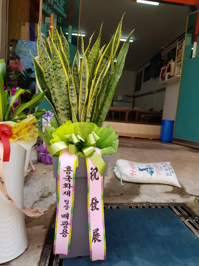 가자꽃배달 이미지