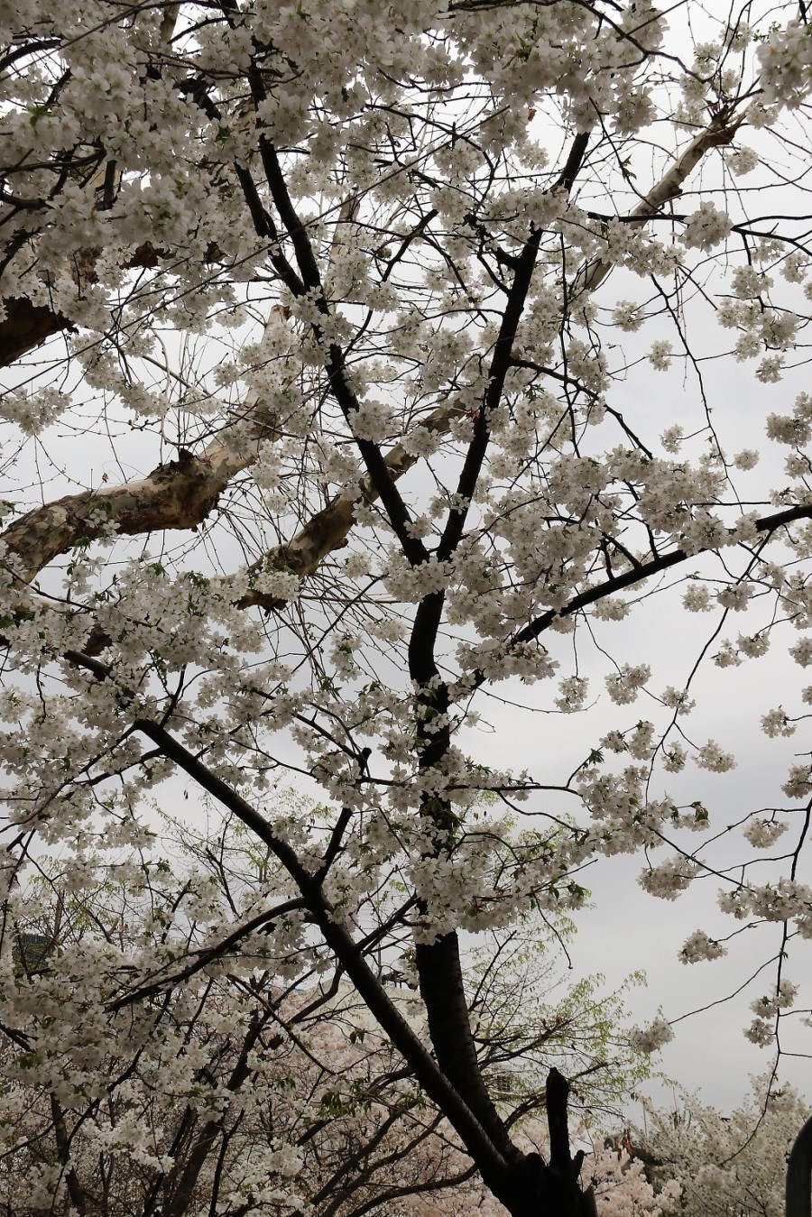 우산각 이미지