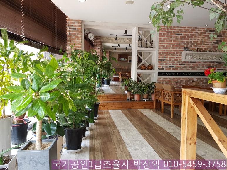 백양카페 이미지