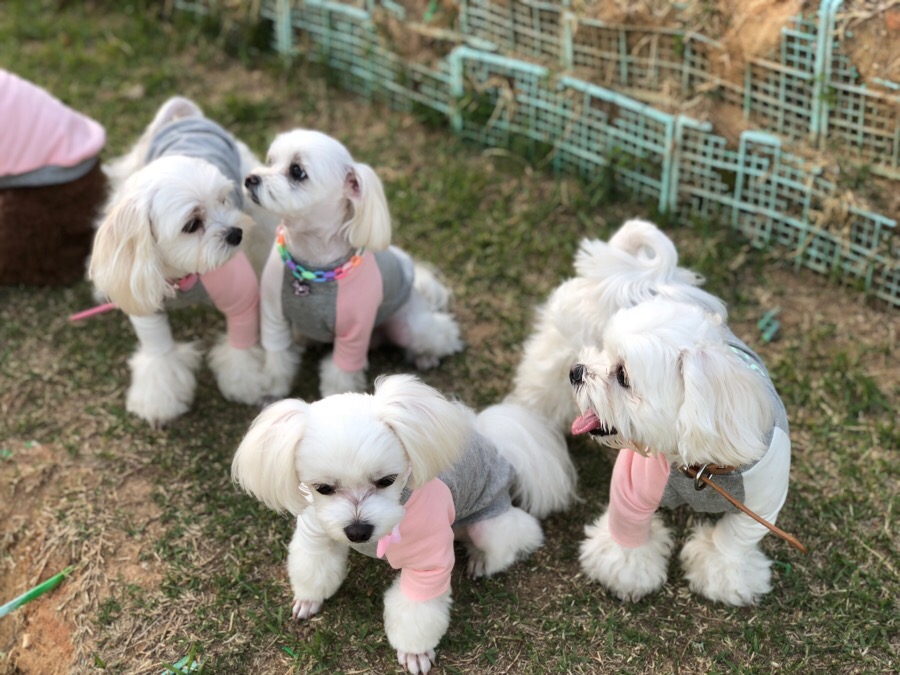 몽실상회 이미지