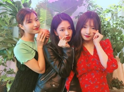 나인카페 이미지