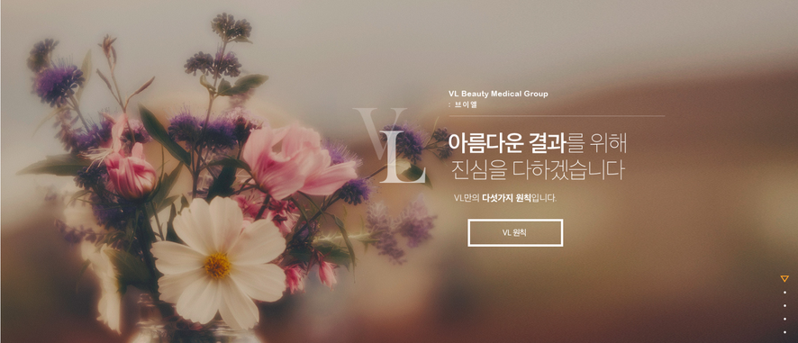 VL의원브이엘의원 이미지