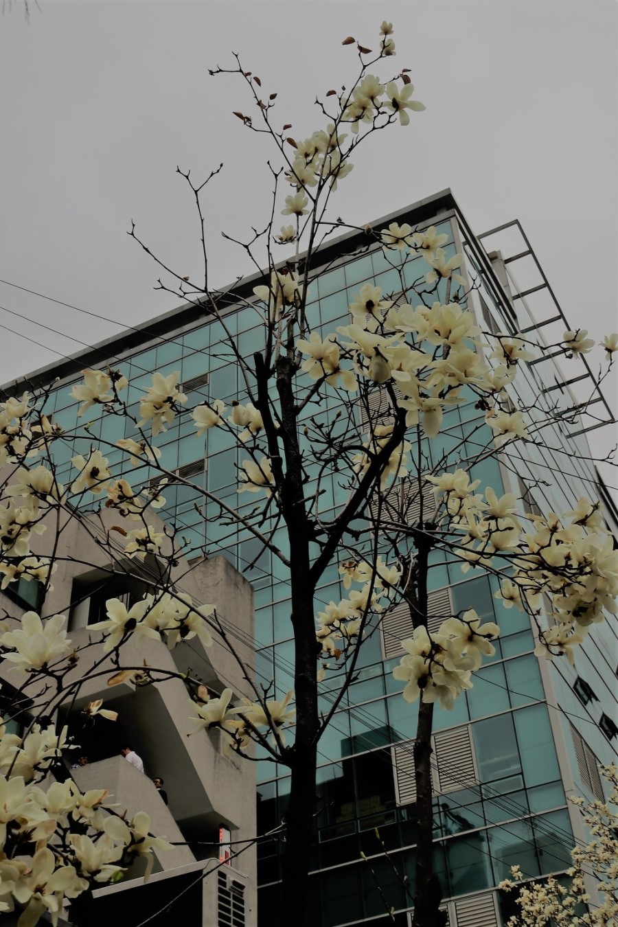 우산각 이미지