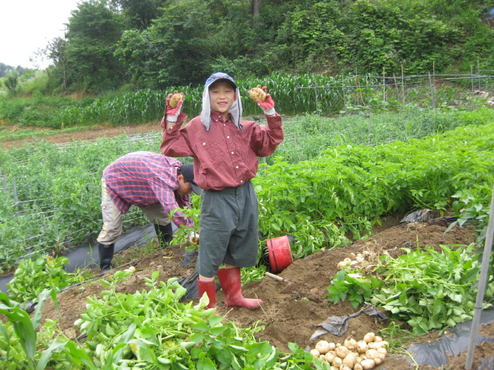 매산청풍 이미지