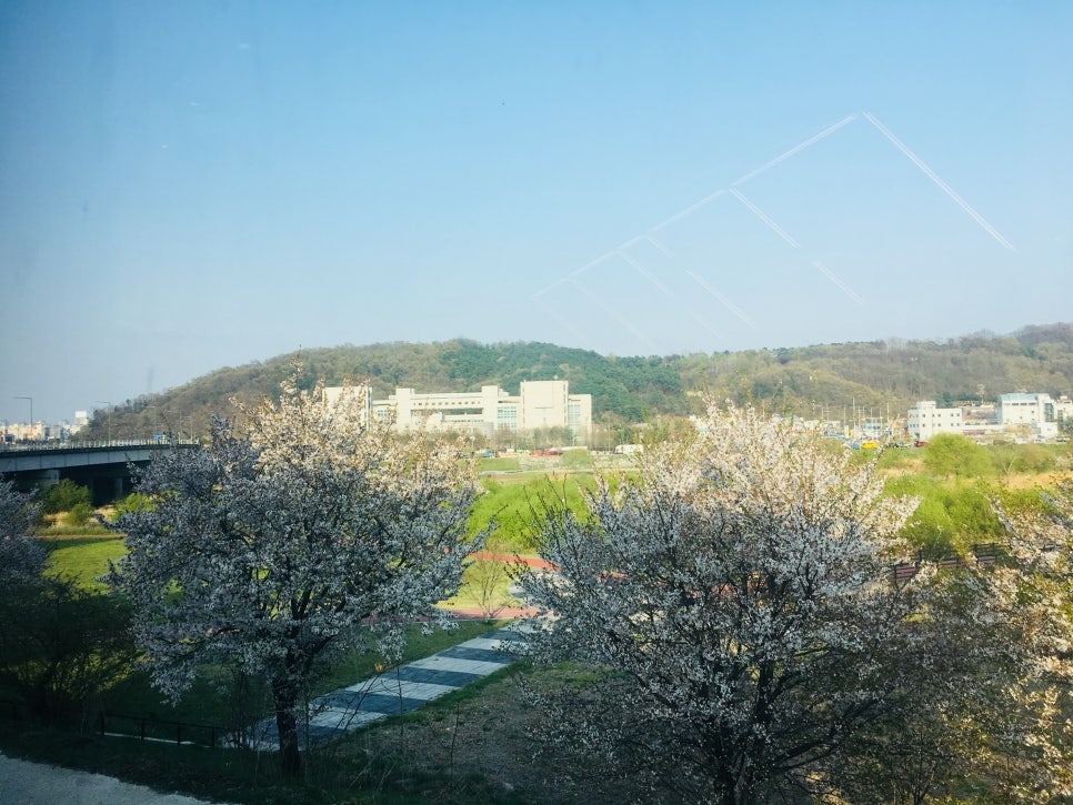 할리스도안 이미지