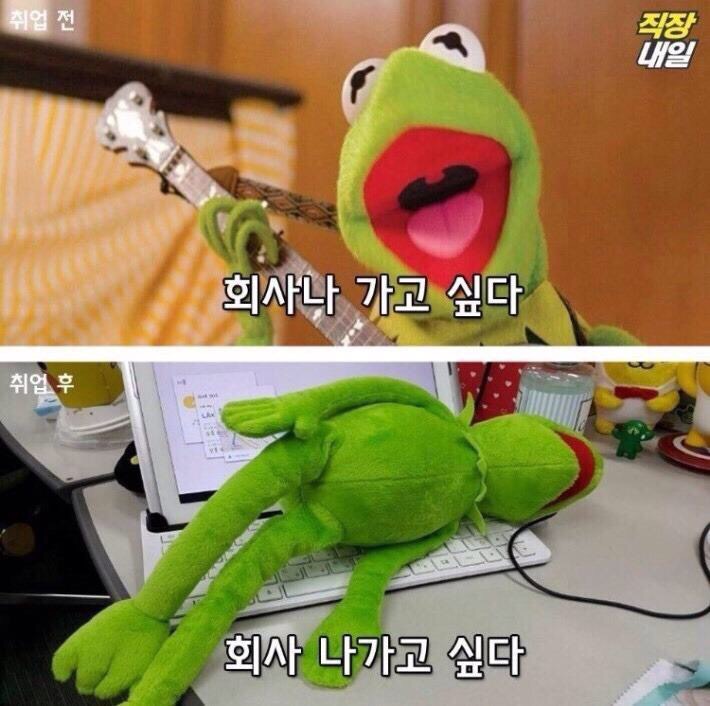 오형제손짜장마을 이미지