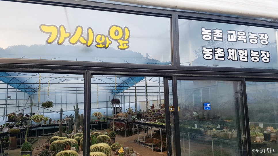 가시와다육이 이미지