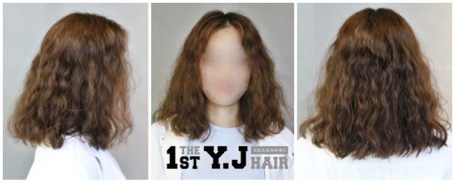 팜프헤어 이미지