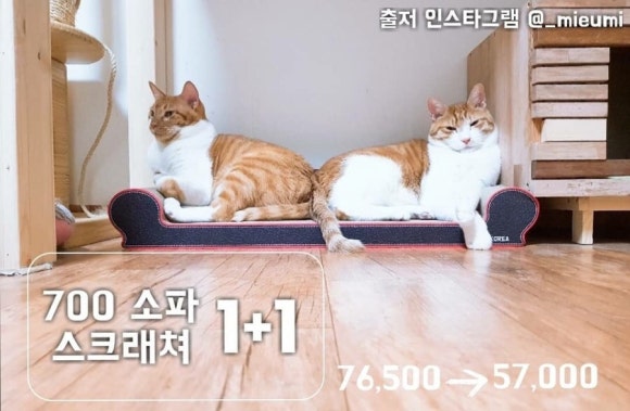 오케이공구 이미지