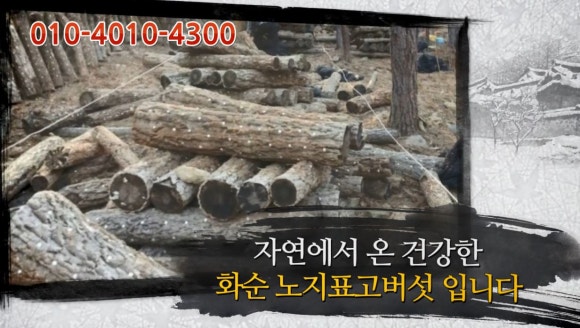 숲사랑농원 이미지