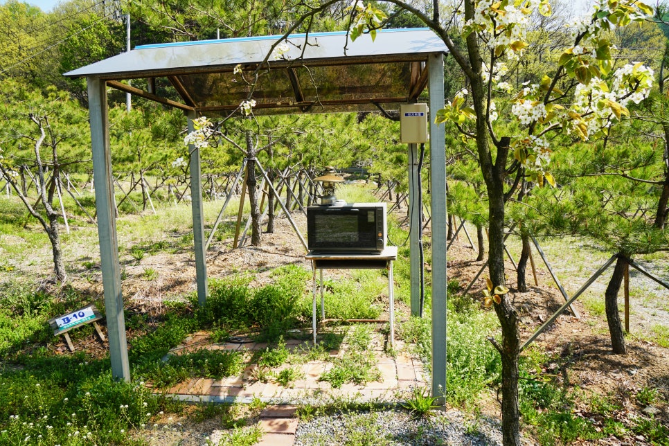 충주 알프스 캠핑장 이미지