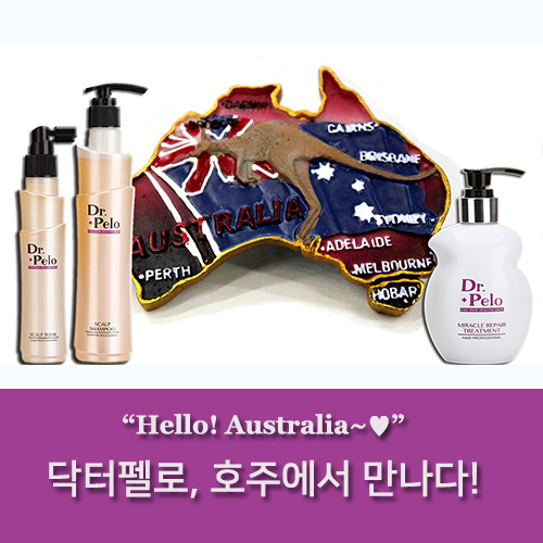 펠로살롱 이미지