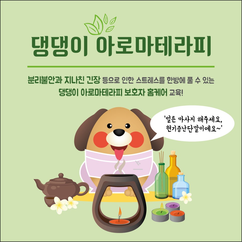 비안코 포레스트 이미지