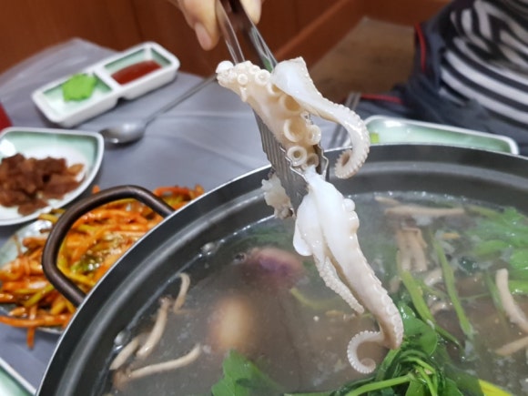 아우성회센터 이미지