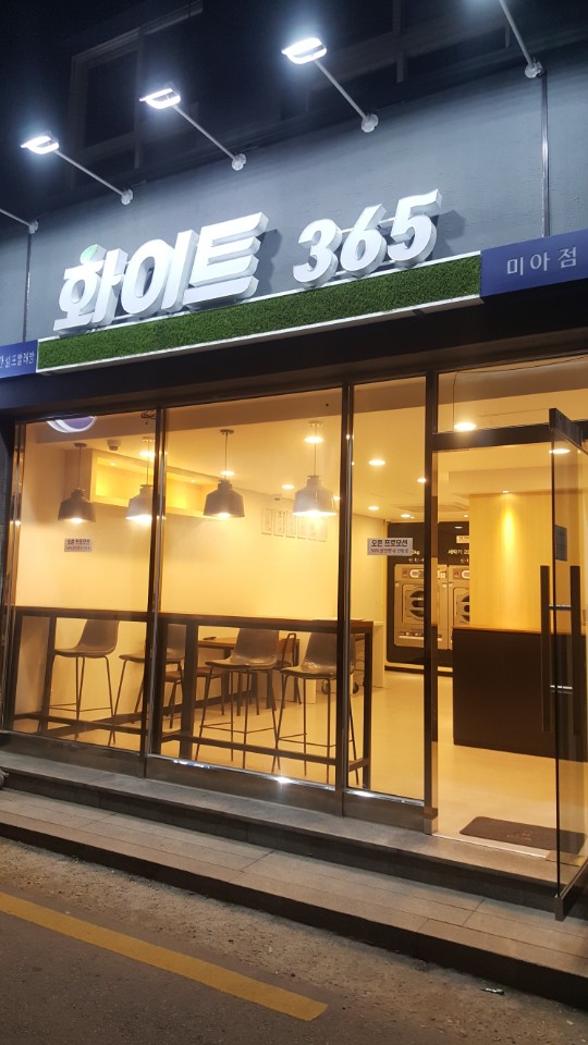 화이트365 이미지
