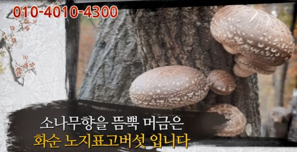 숲사랑농원 이미지