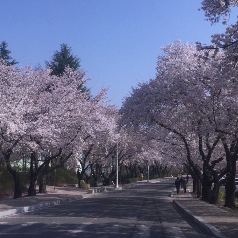 경산옷가게 이미지