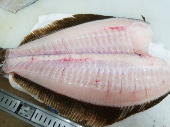 오로시 이미지