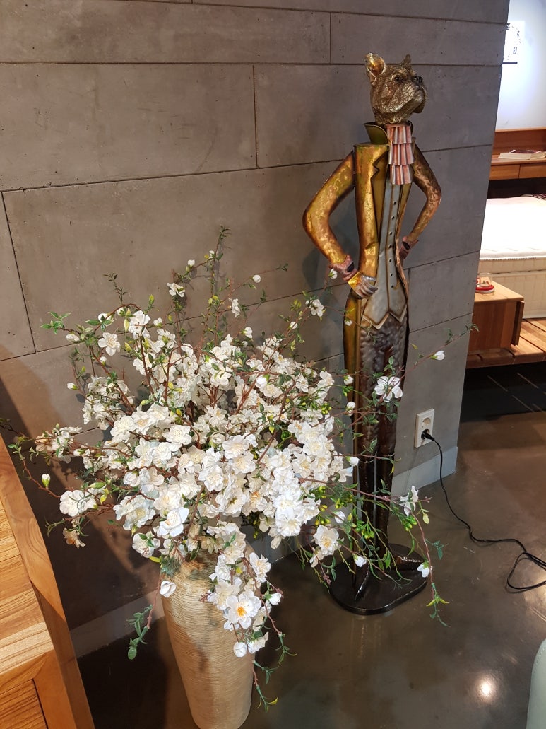 오심디자인 이미지