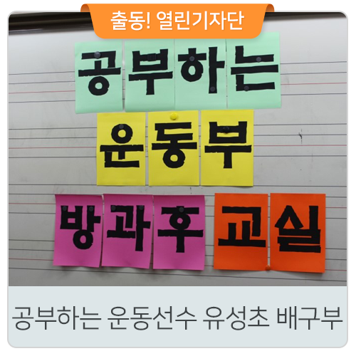 유성초등학교 이미지