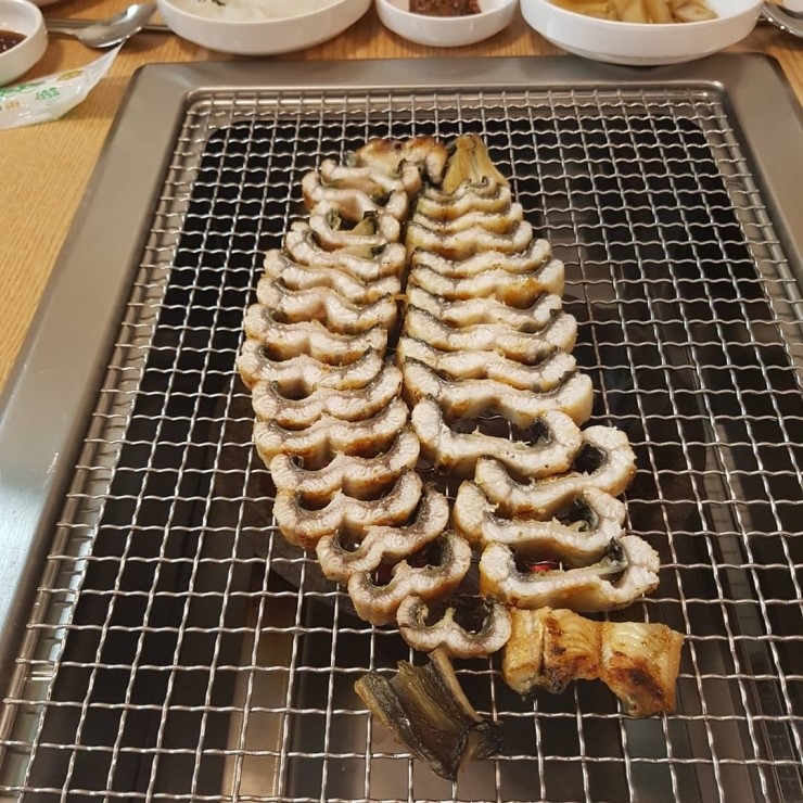 장군장어 이미지