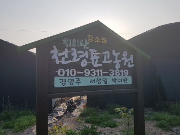 함양액즙 이미지