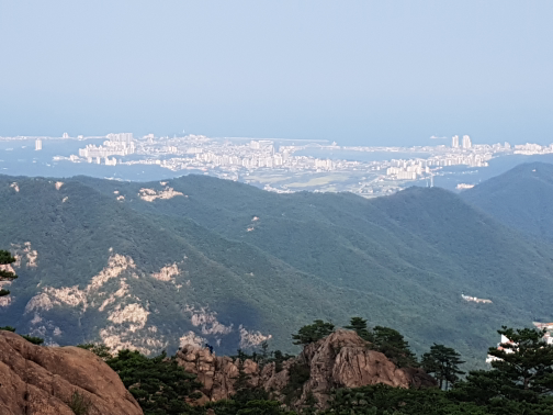 기쁨고속관광 이미지