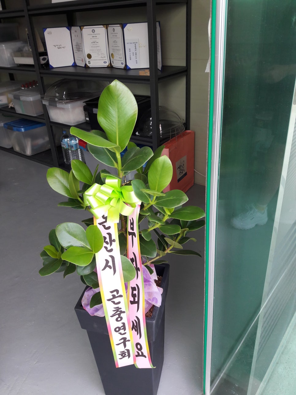 탄천굼벵이 이미지