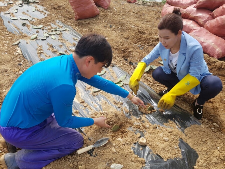 재호팜스토리 이미지