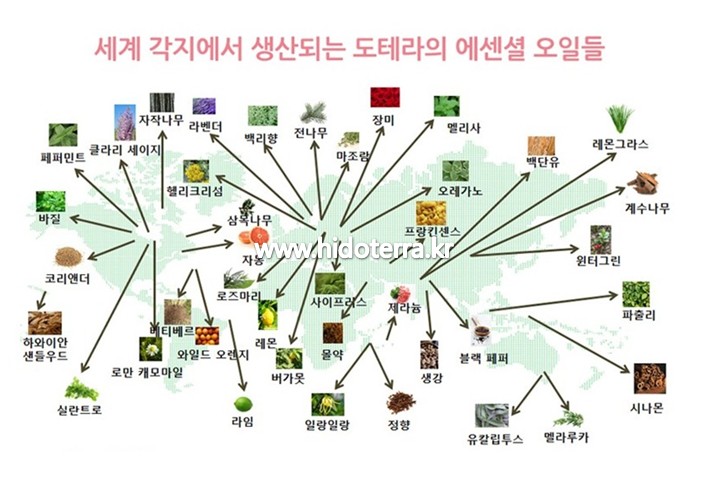 쉼아로마 이미지