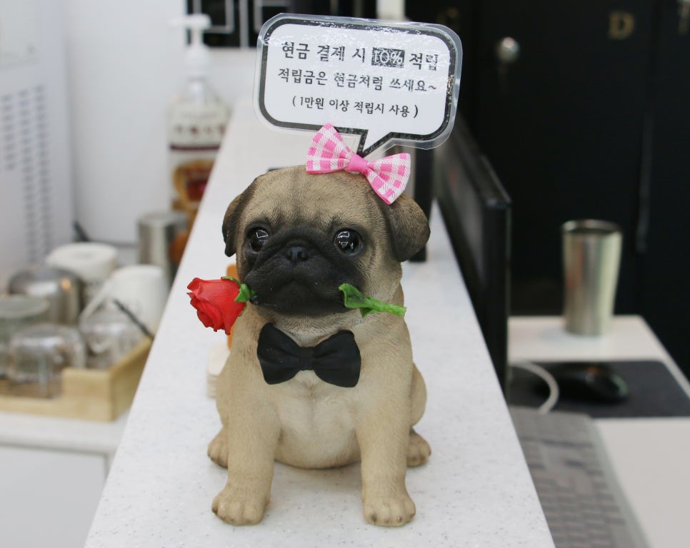 헤어디프(DIFF) 이미지