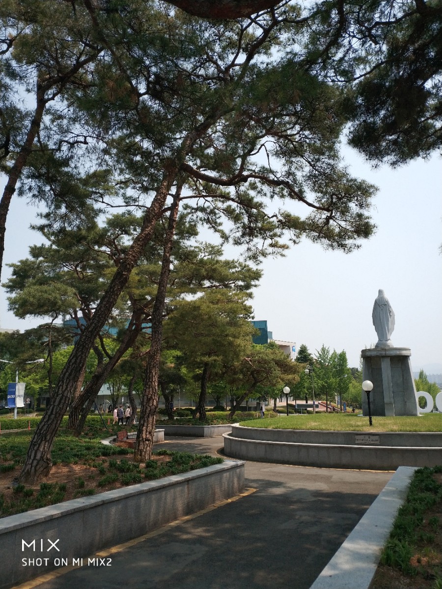 대구가톨릭대학교 교직원식당 이미지