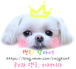 봄쏘잉 이미지