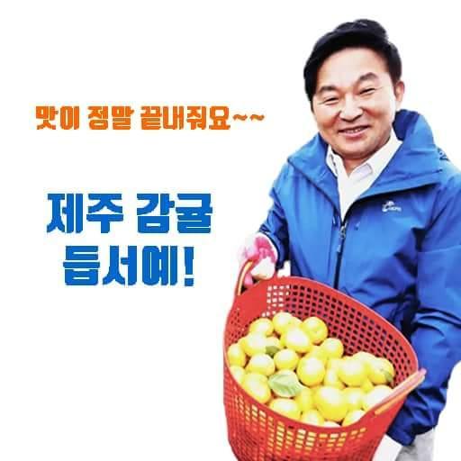 고사리협동조합 이미지