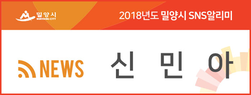 총각갈매기 이미지