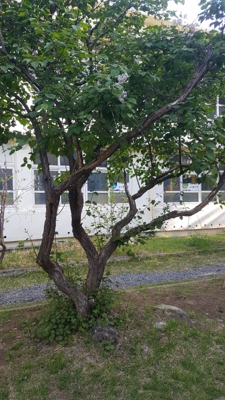 포항오토캠핑장루트7 이미지