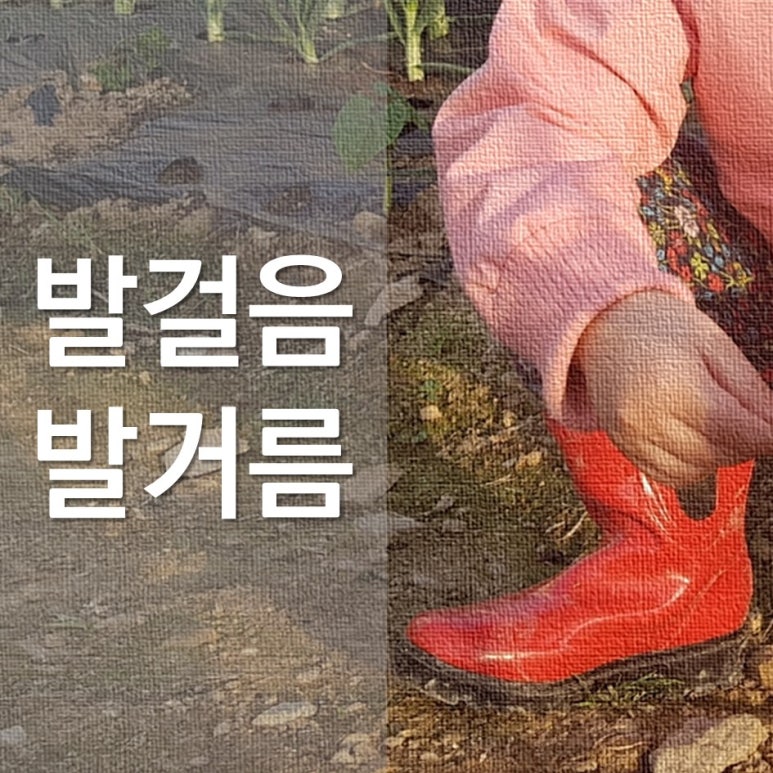 미소담은 된장 이미지
