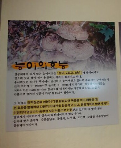 참나무능이버섯백숙 이미지