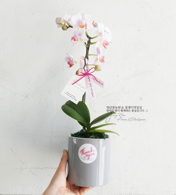 영남화분 이미지